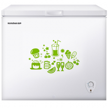 容声 用商用 冷藏冷冻转换冷柜 节能 大容量单温卧式冰箱 BDBC-205MB